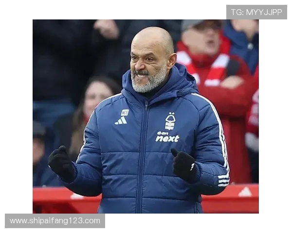 西汉姆联失利反映保级希望