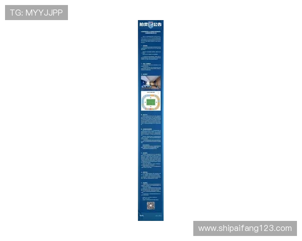 英博拍卖河南队比赛慈善包厢起拍价45000元 英博拍卖河南队比赛慈善包厢起拍价45000元